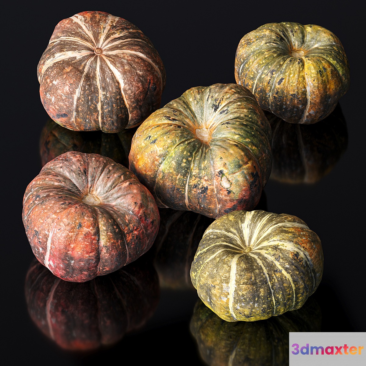 Pumpkin. 5 models