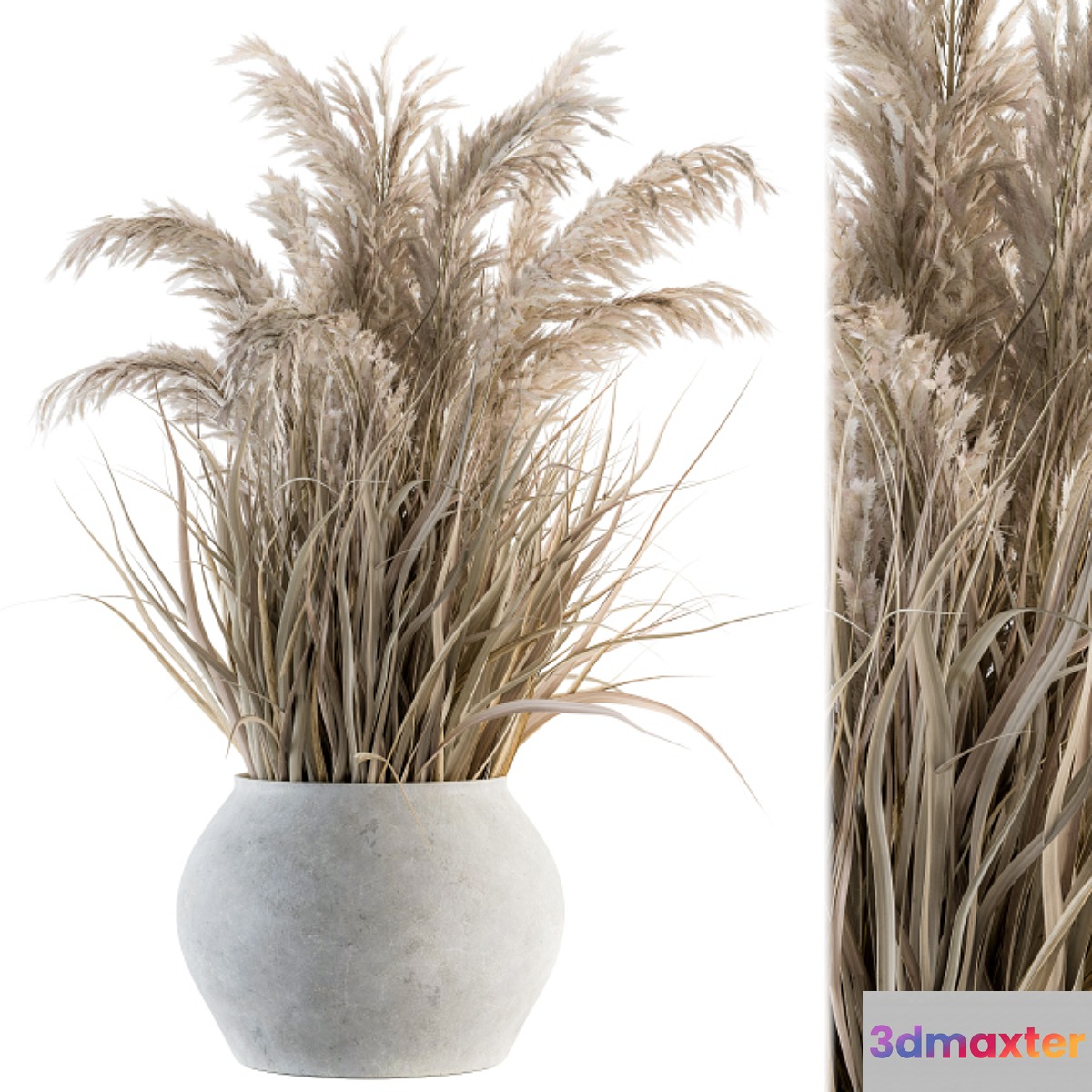 indoor Plant Set 115 - Dried Plant 3D Max