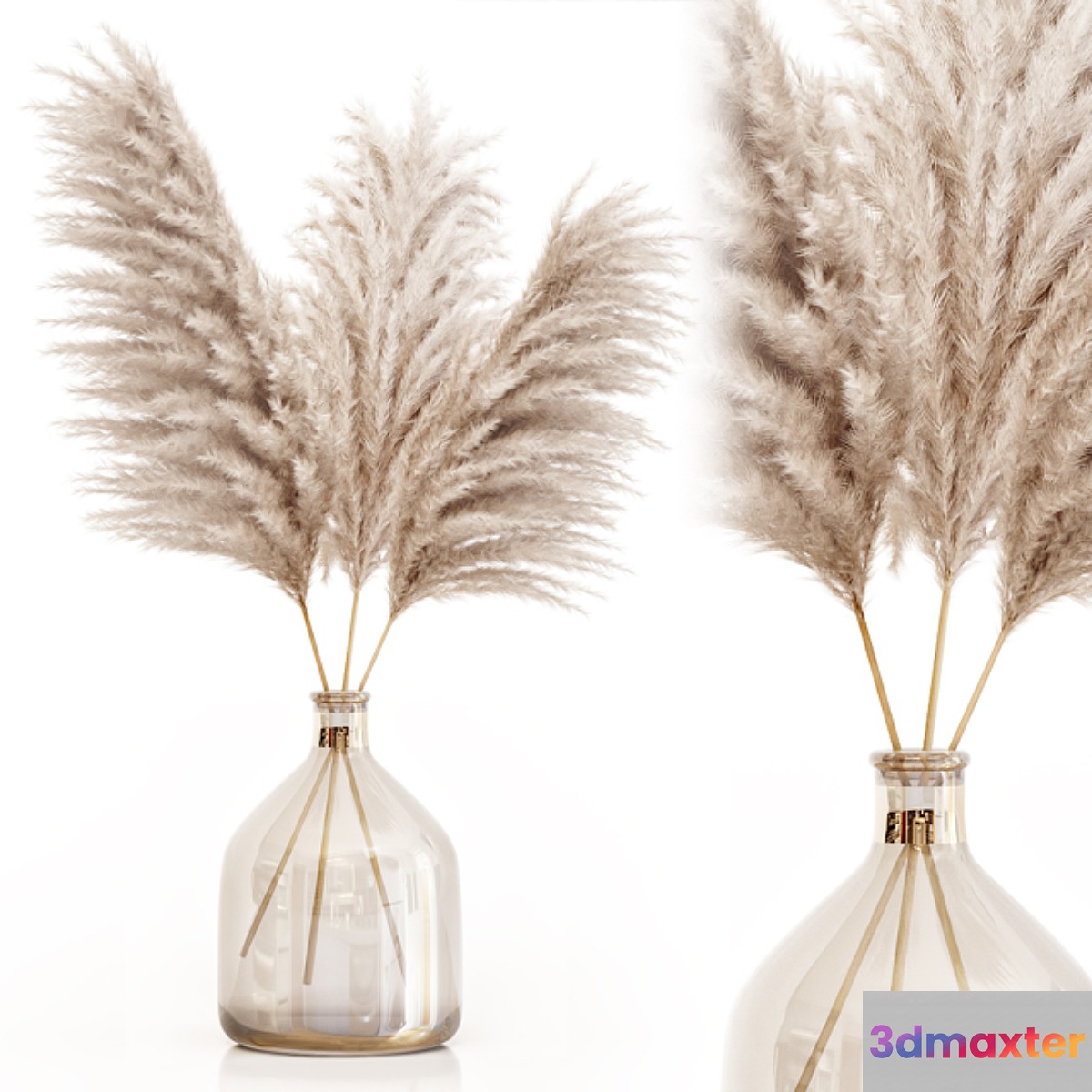 Pampas grass in glass vase 7 3D Max
