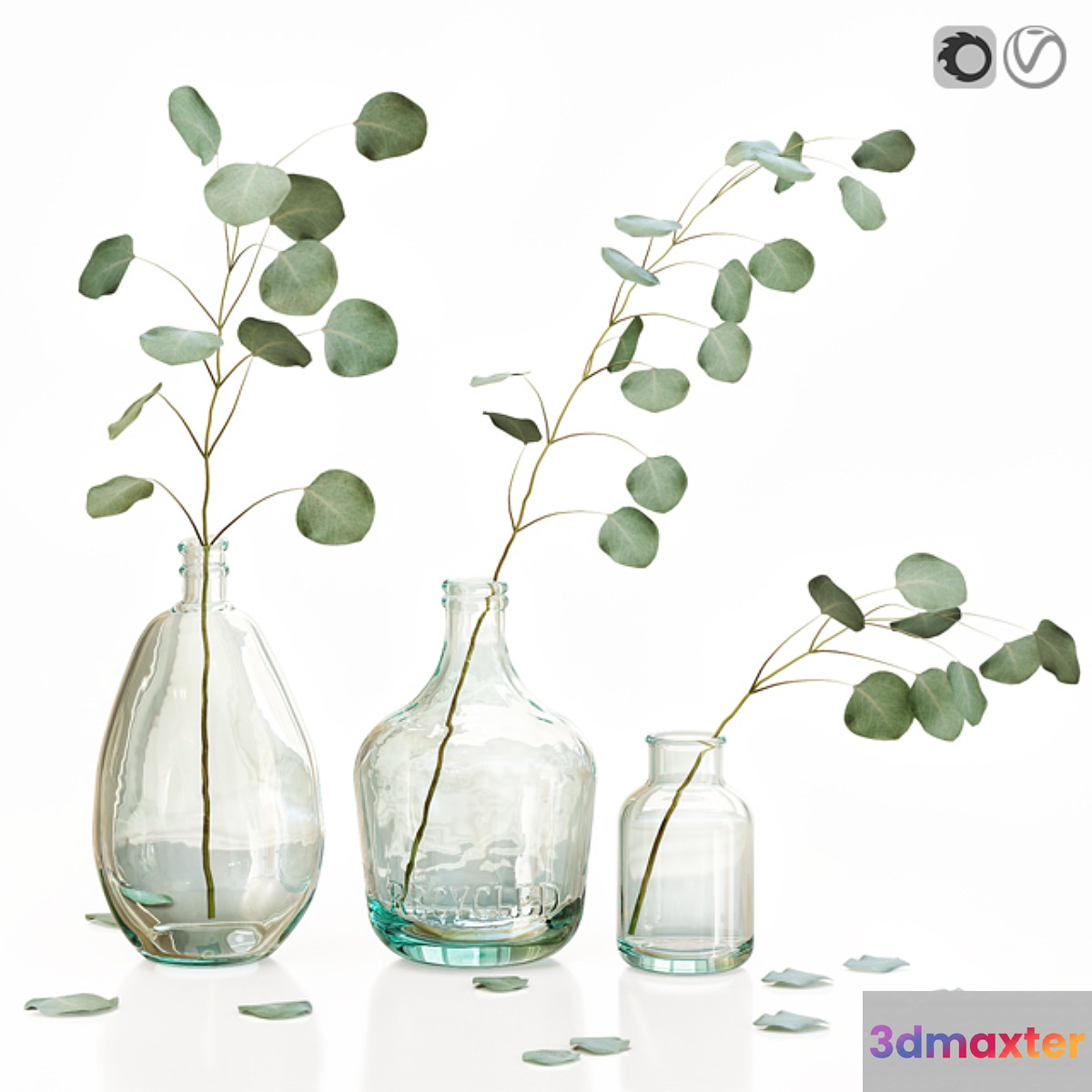 Eucalyptus 2 3D Max