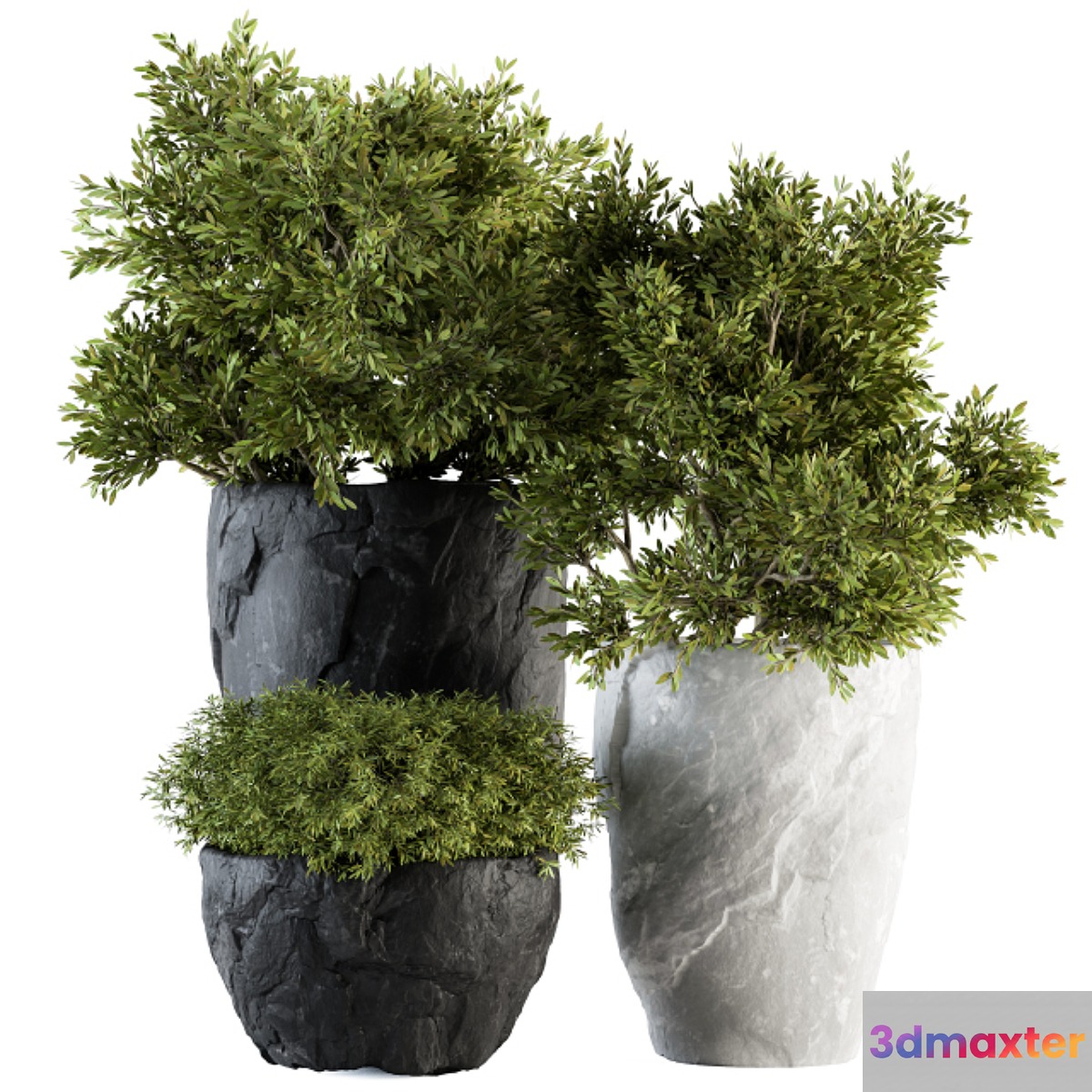 Outdoor Plants tree in Rock Pot - Set 136