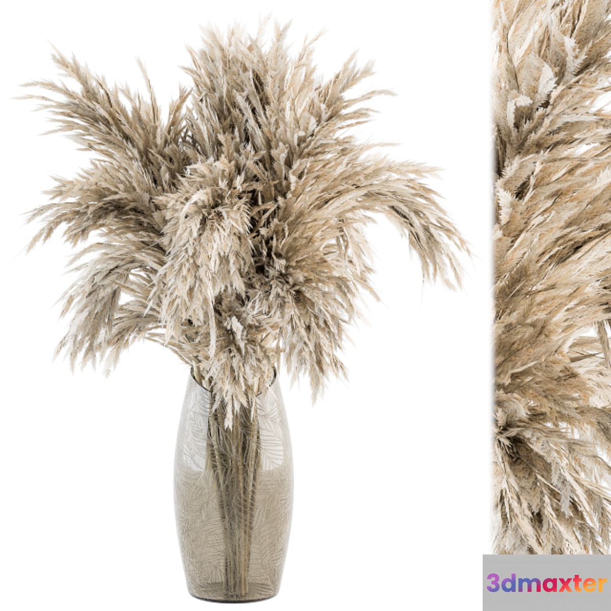 Dry plants 47 - Dried Plant Pampas Bouquet