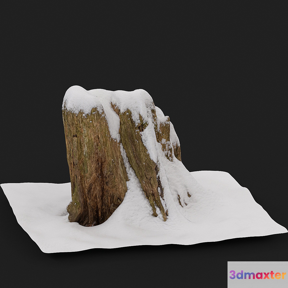 Stump under the snow
