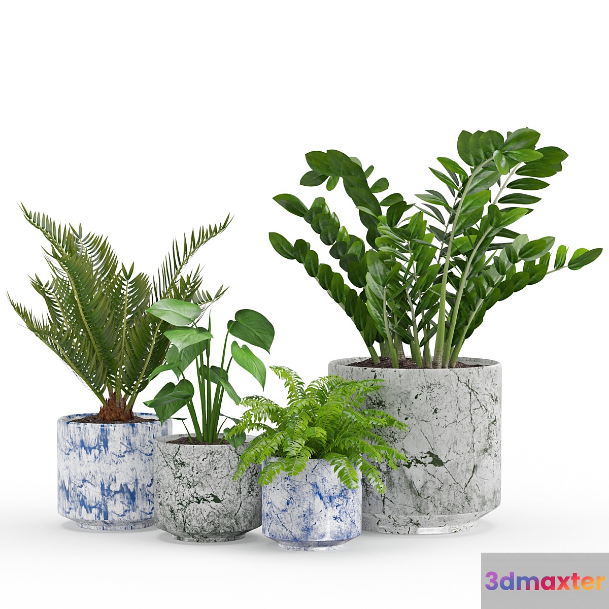 Houseplant 55 3D Max