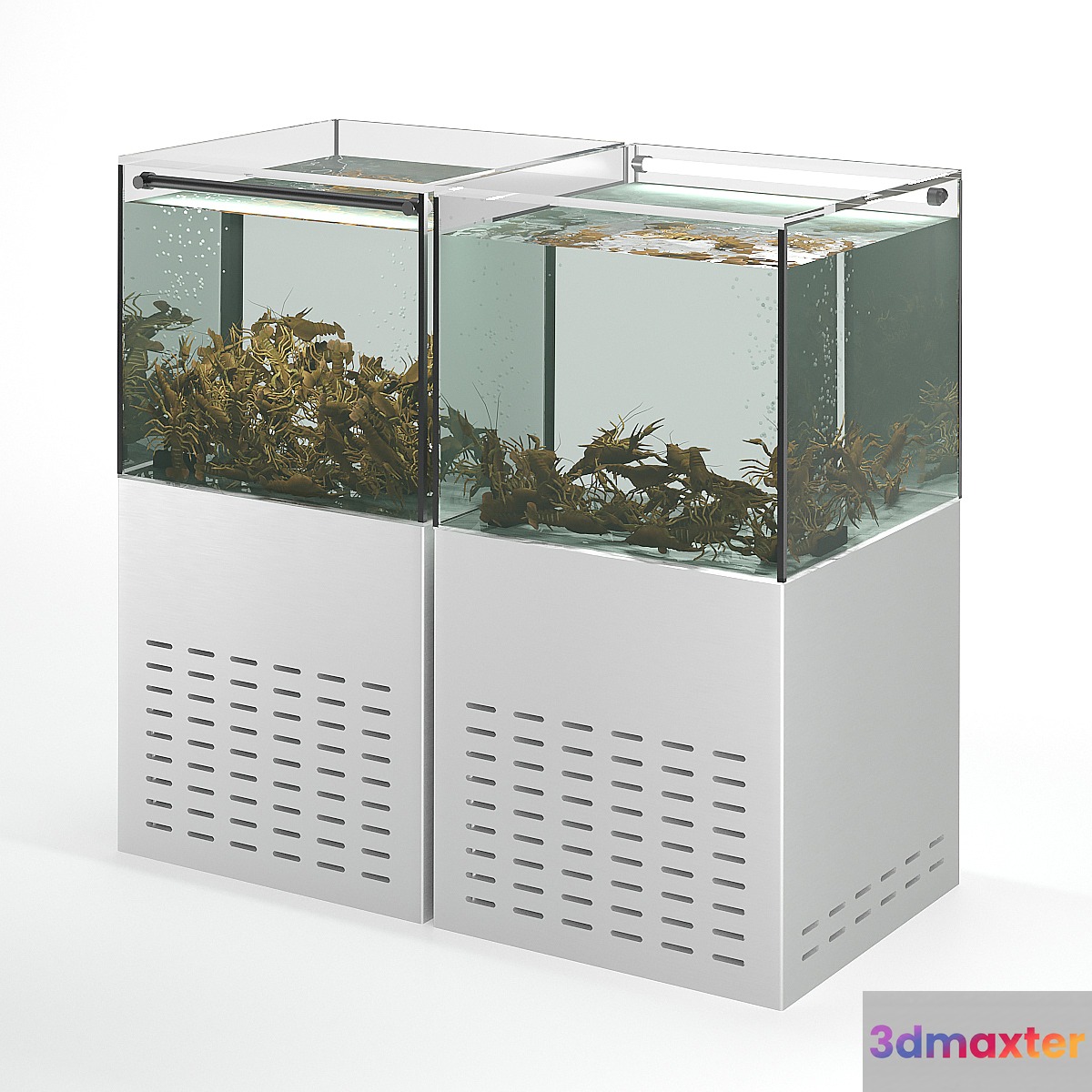 Crayfish aquarium