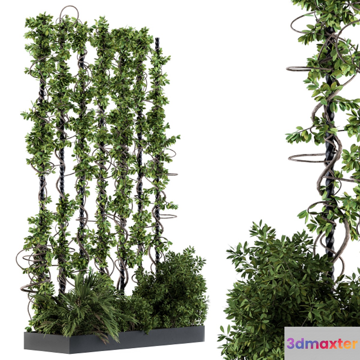 Garden set bush and ivy - Garden Set 09 3D Max