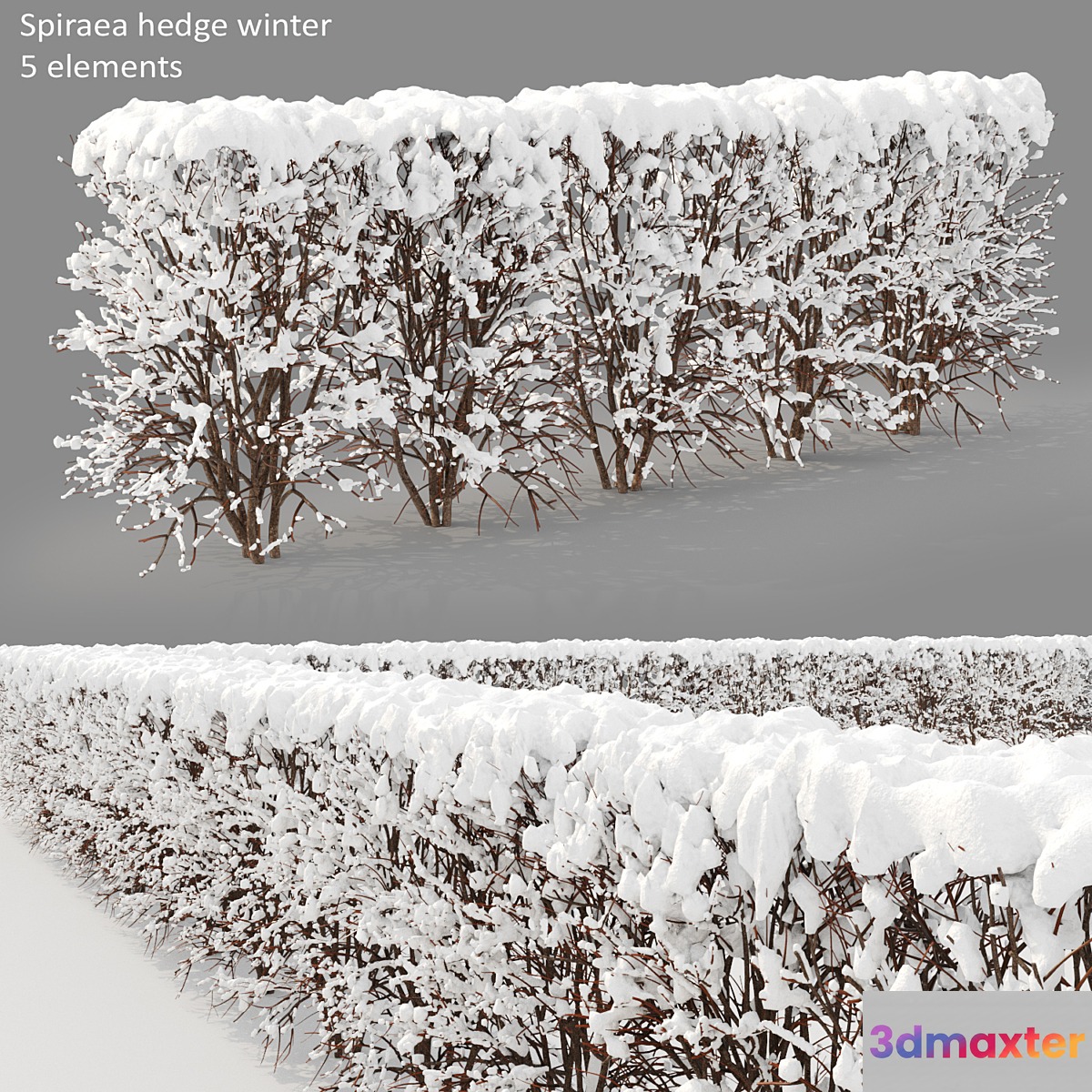 Winter hedge