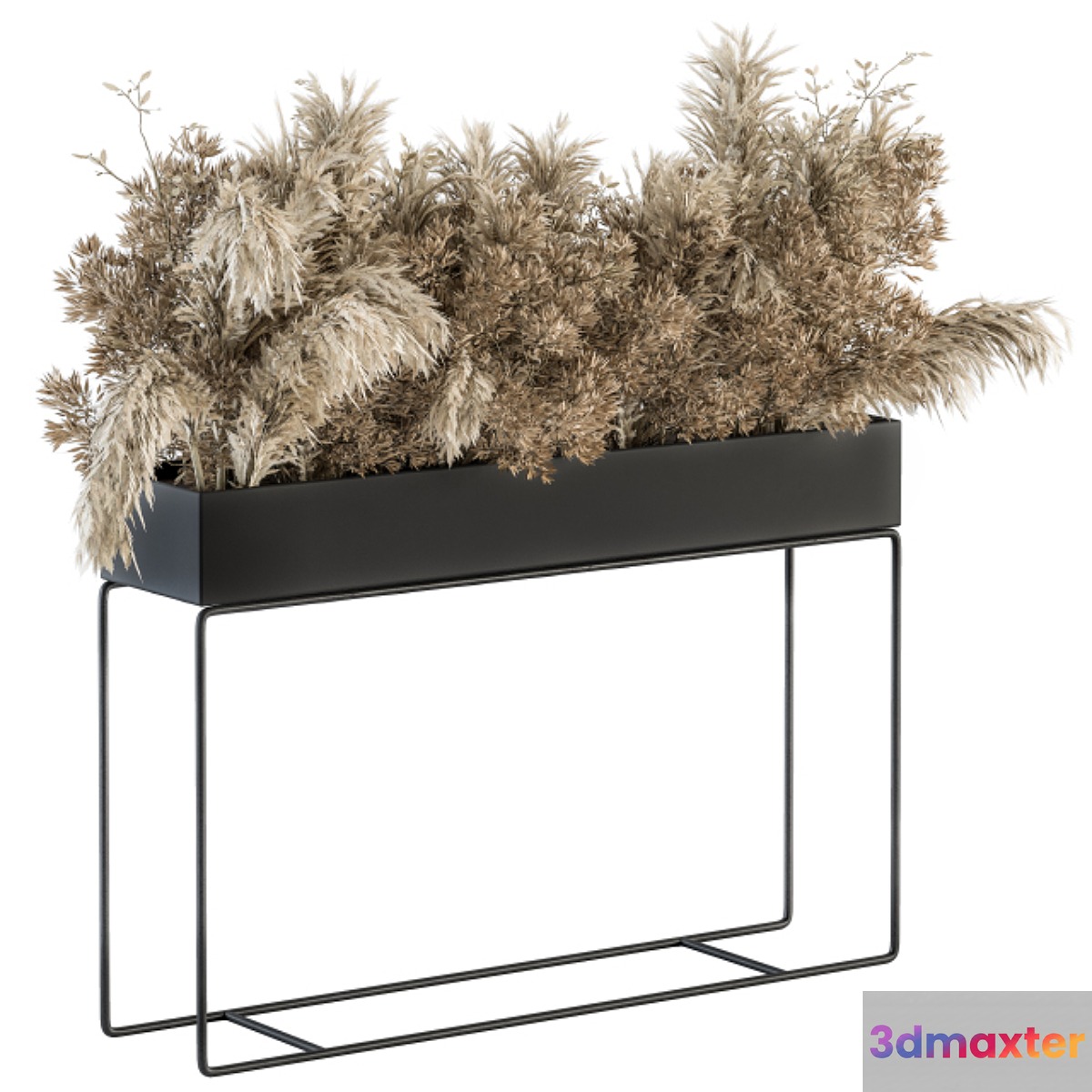 indoor Plant Set 117 - Dried Plant box 3D Max