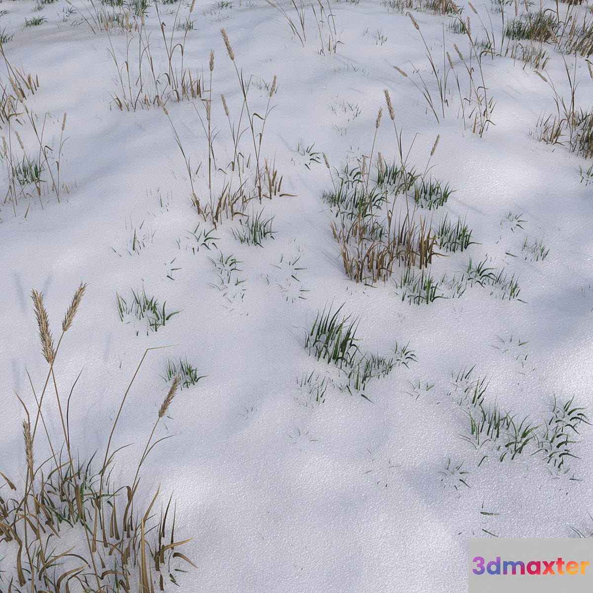 The grass under the snow 3D Max