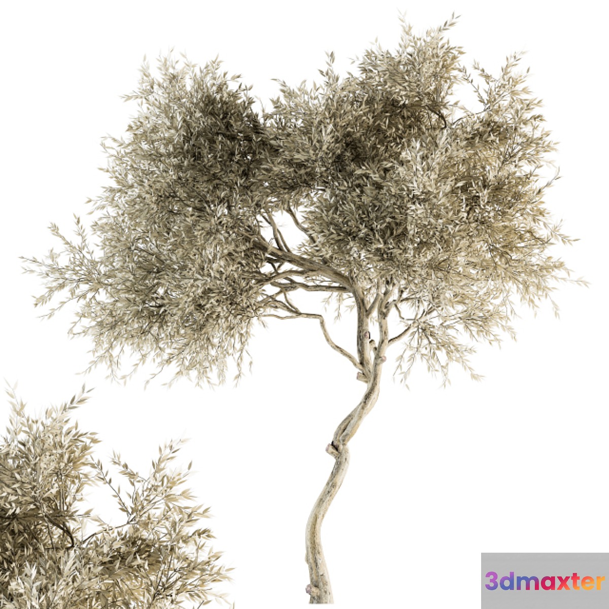 Tree Broadleaf Dried - Set 30 3D Max