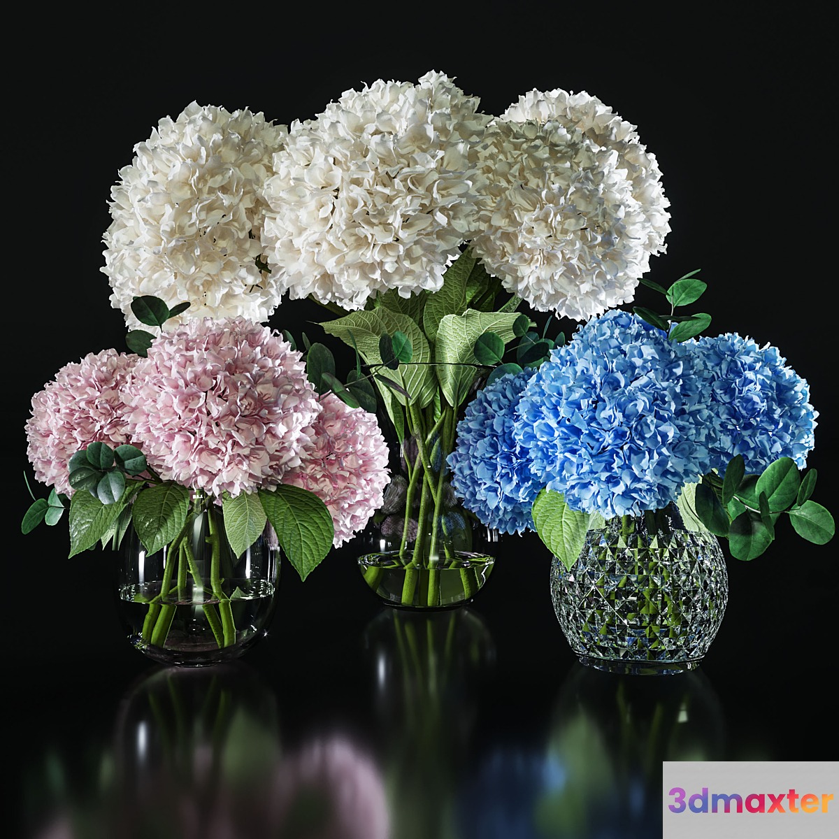 Hydrangea set 001 3D Max