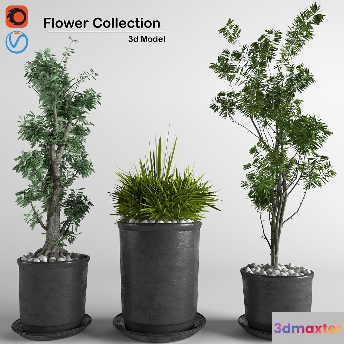 flower collection 3p - No.3