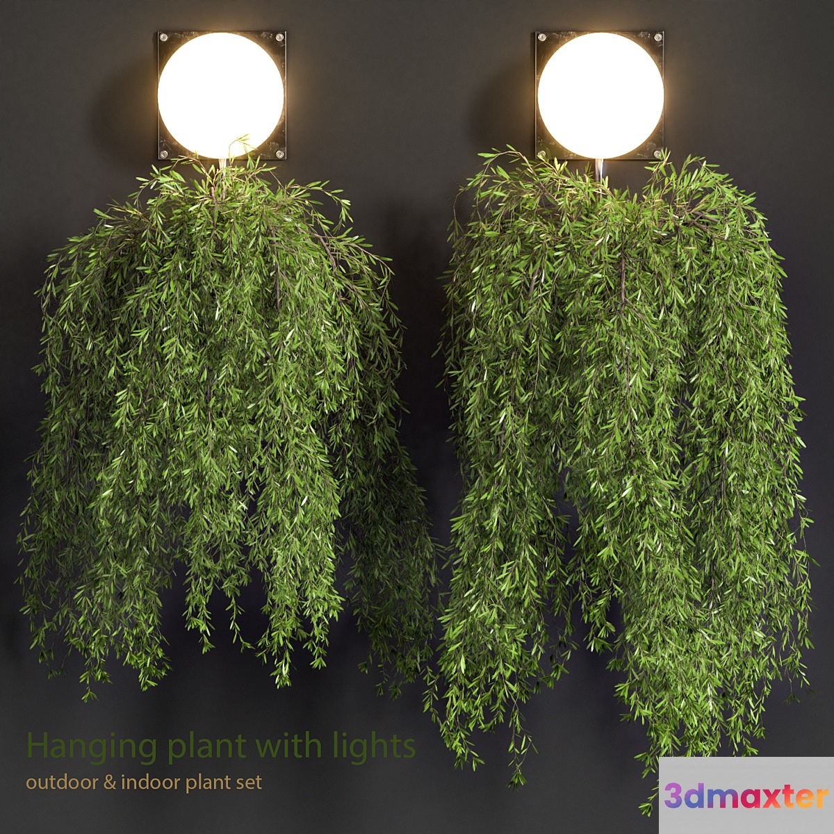 Hanging Plant with Lights 3D Max
