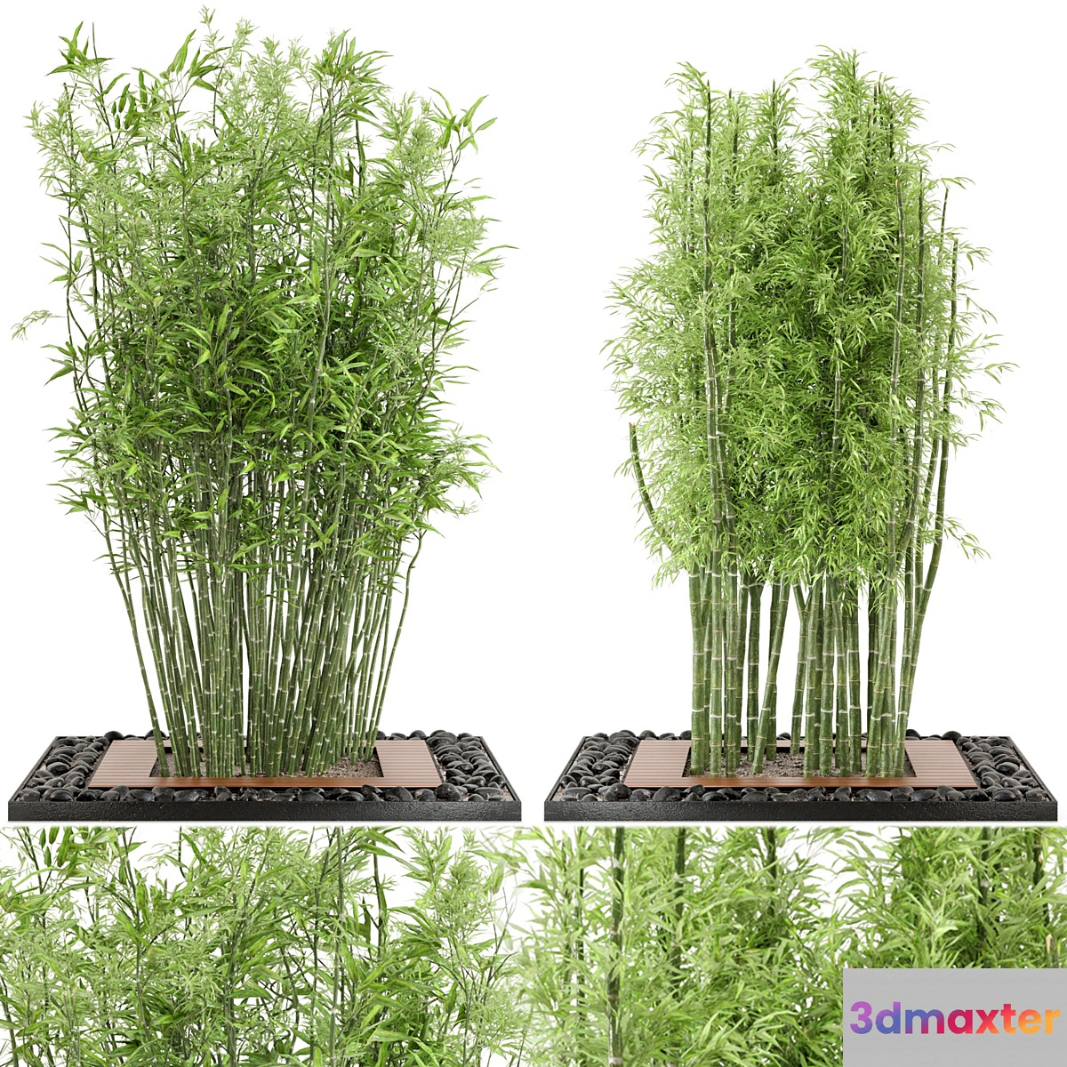 Outdoor Plants Bamboo Set Garden Set 21 3D Max