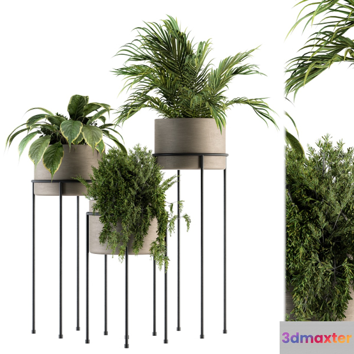 indoor Plant Set 129 - Plant Stand