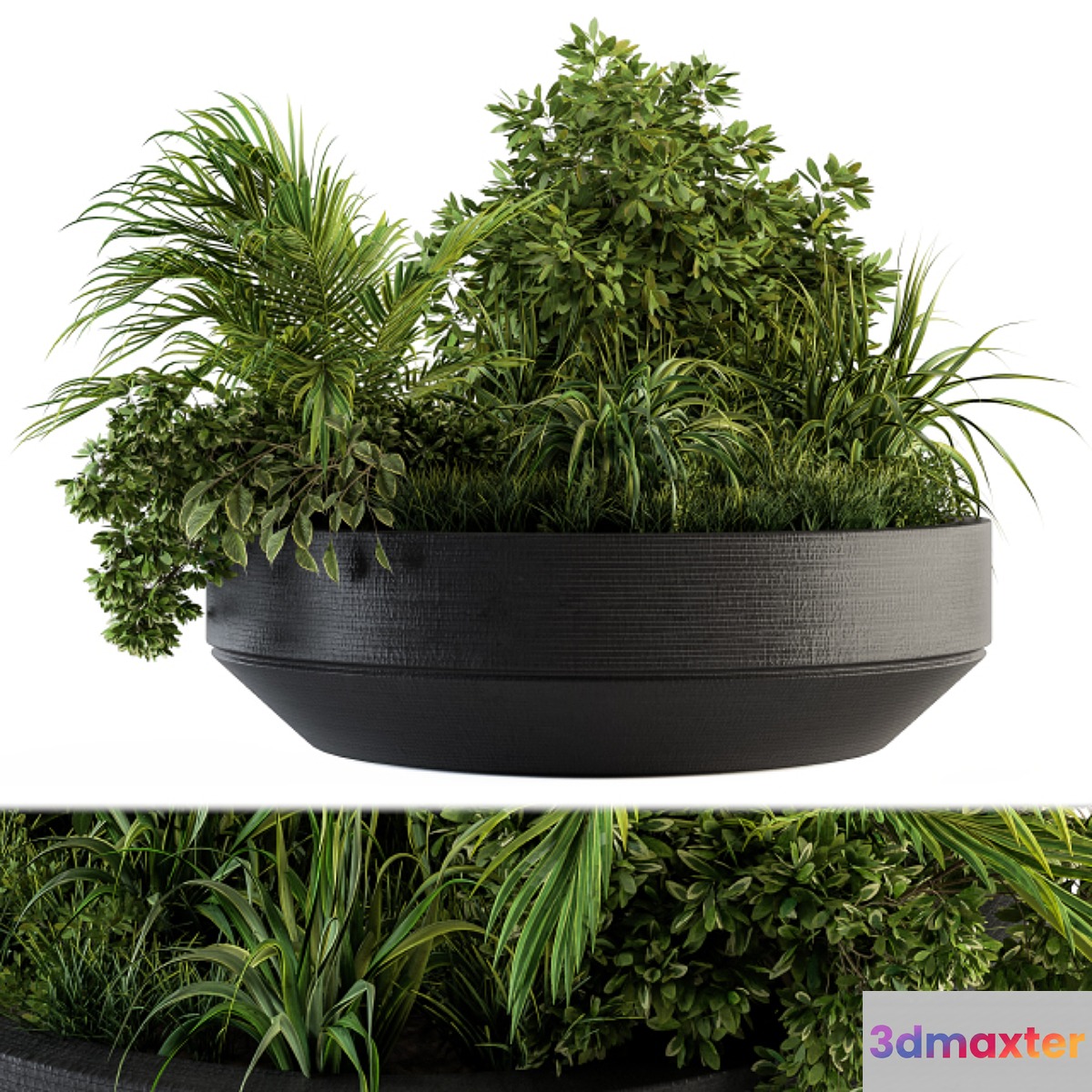 Outdoor Plants tree in Concrete Pot - Set 144 3D Max