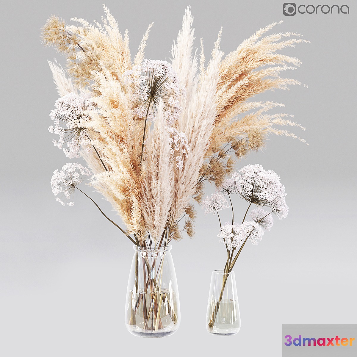 Dry Flower 01 3D Max