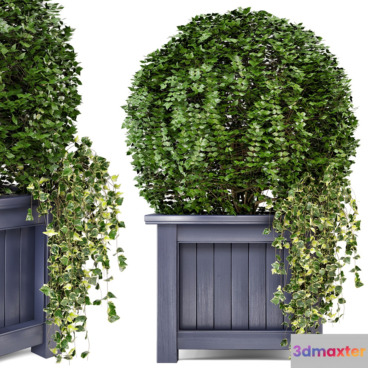Outdoor Plants in Wooden Pot - Set 34 - No.2