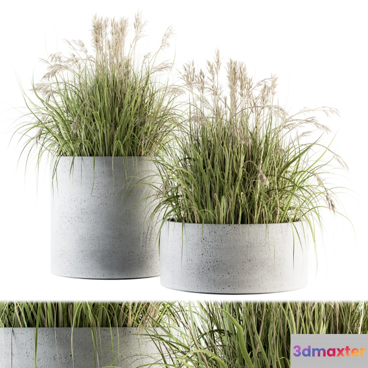 indoor Plant Set 139 - Indian Grass 3D Max