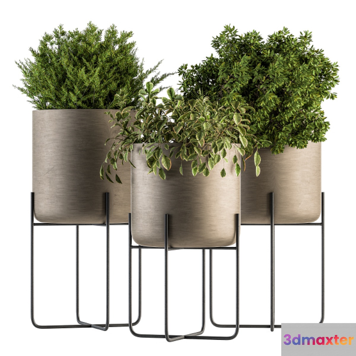 indoor Plant Set 149 - Plant in Pot 3D Max