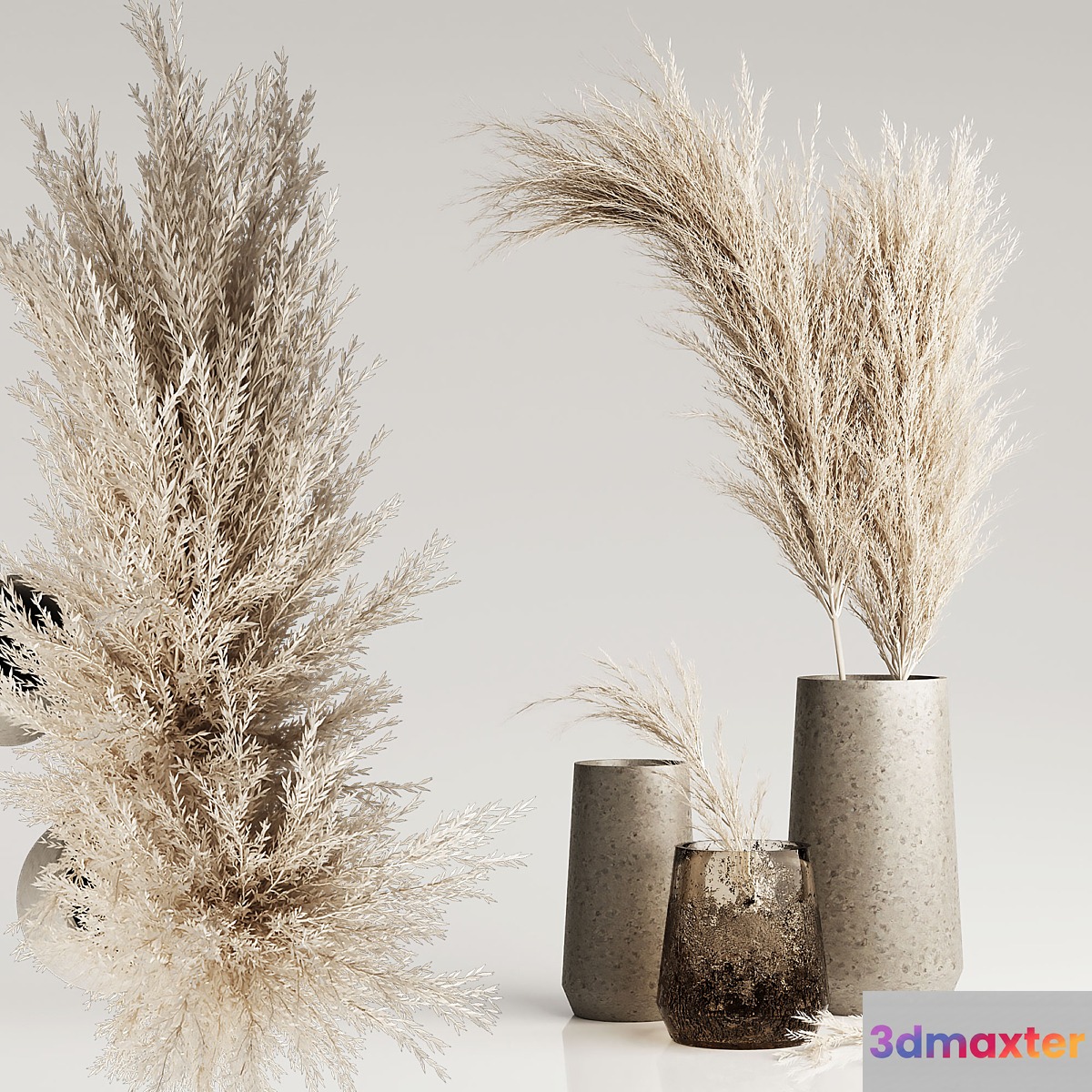 Dried Pampas Plant in Vases 3D Max
