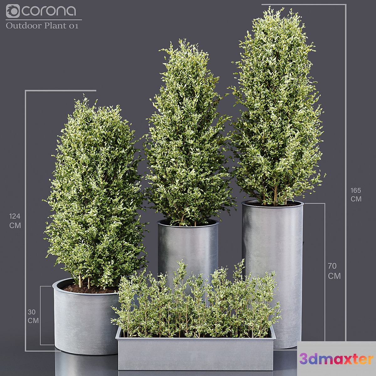 Outdoor Plants 01