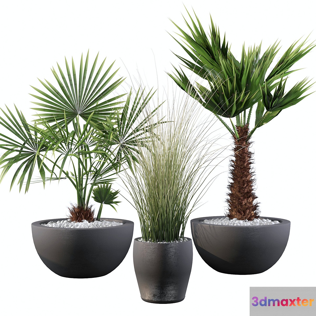 Plants collection 083 3D Max