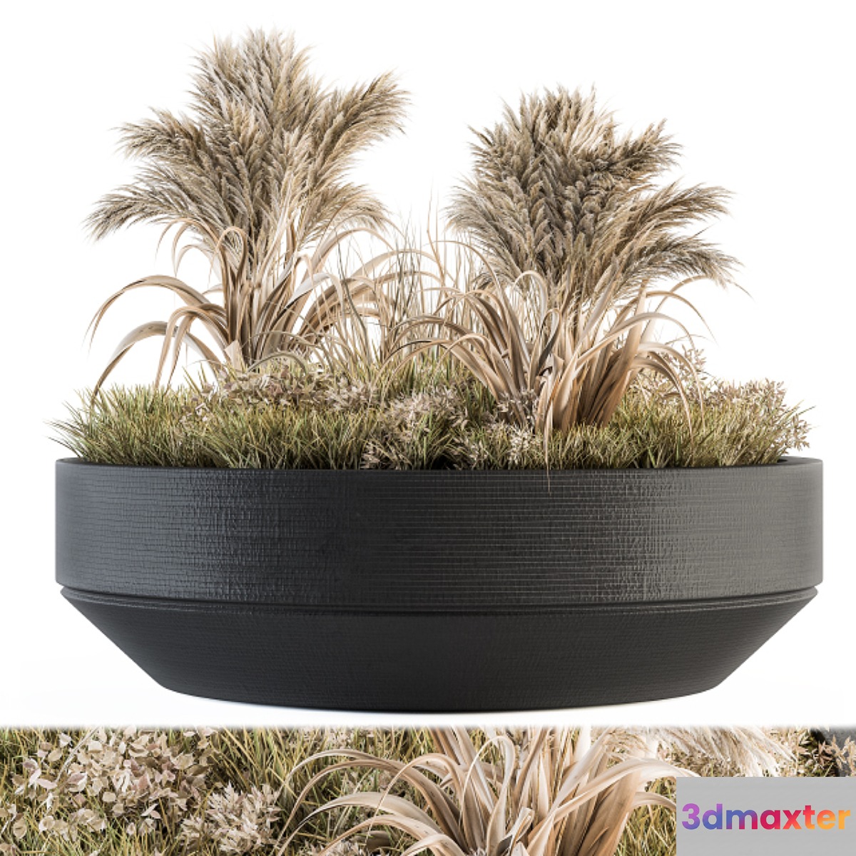 Outdoor Plants tree in Concrete Pot - Set 147 - No.3