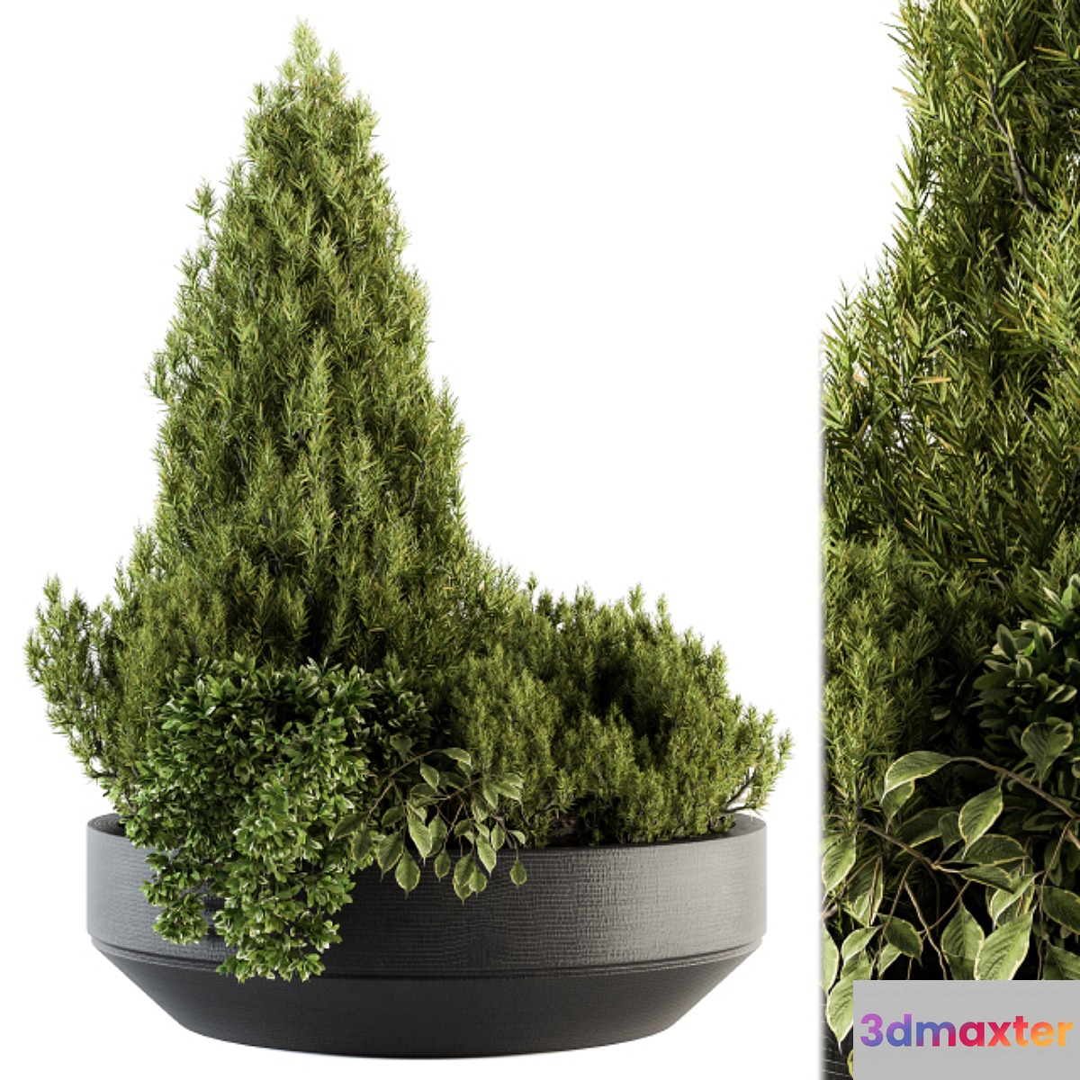 Outdoor Plants Garden - Set 142 3D Max