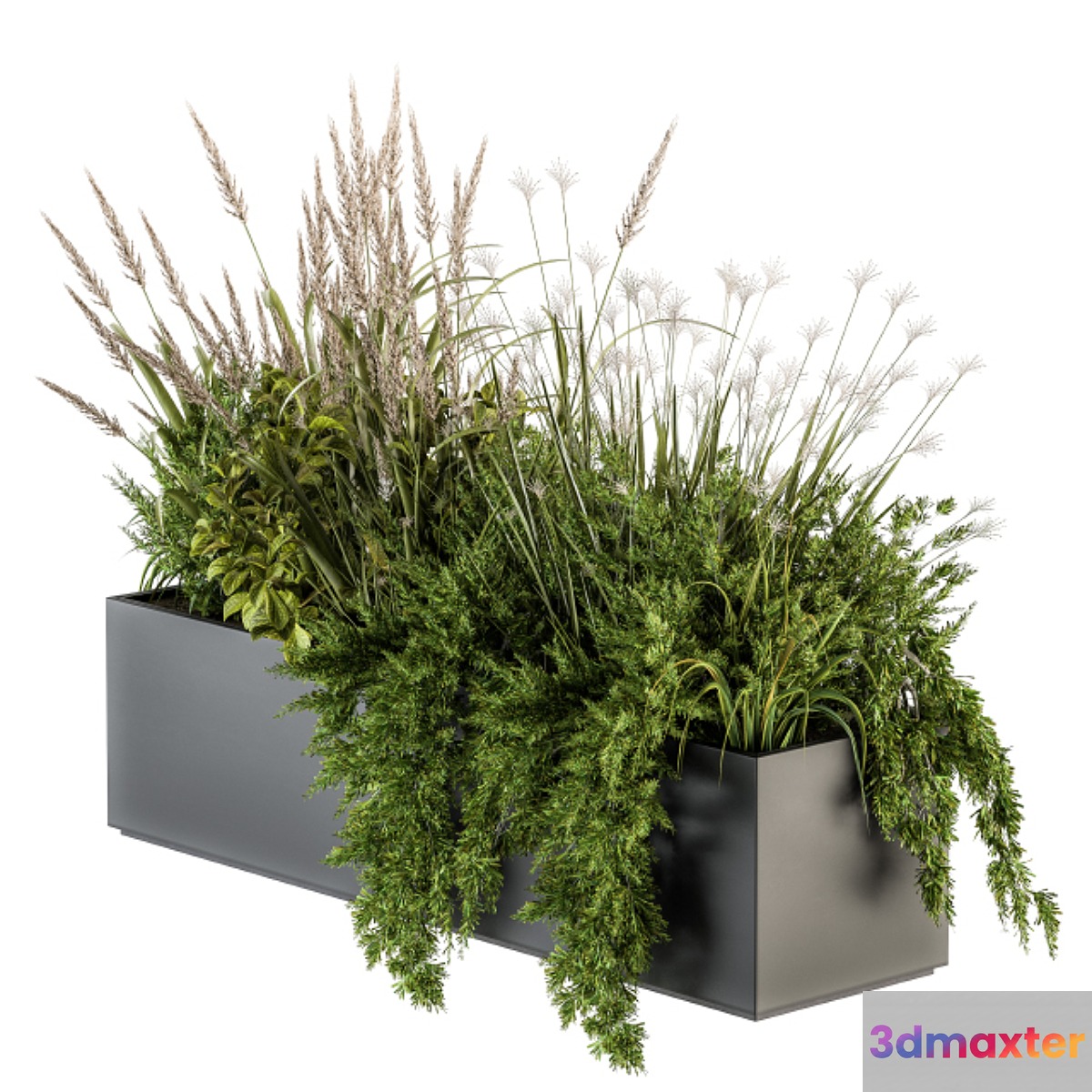 Indoor Plants Box - Set 152 3D Max