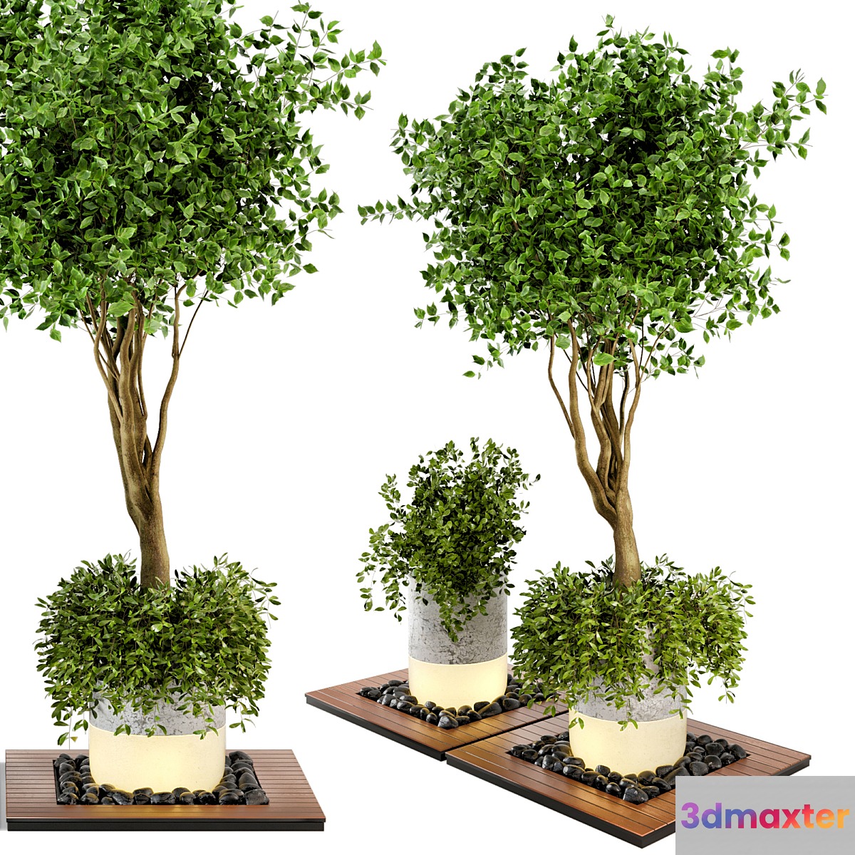 Outdoor Plants bush & Tree Combination of wood & concrete Pot - Garden Set 45 - No.2 3D Max