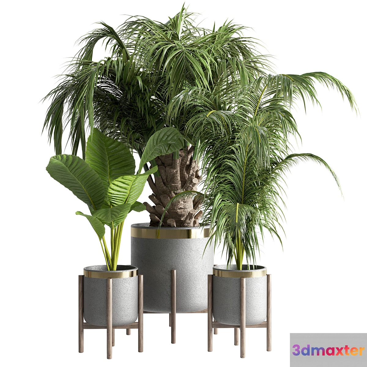 indoor plant 13 - No.3