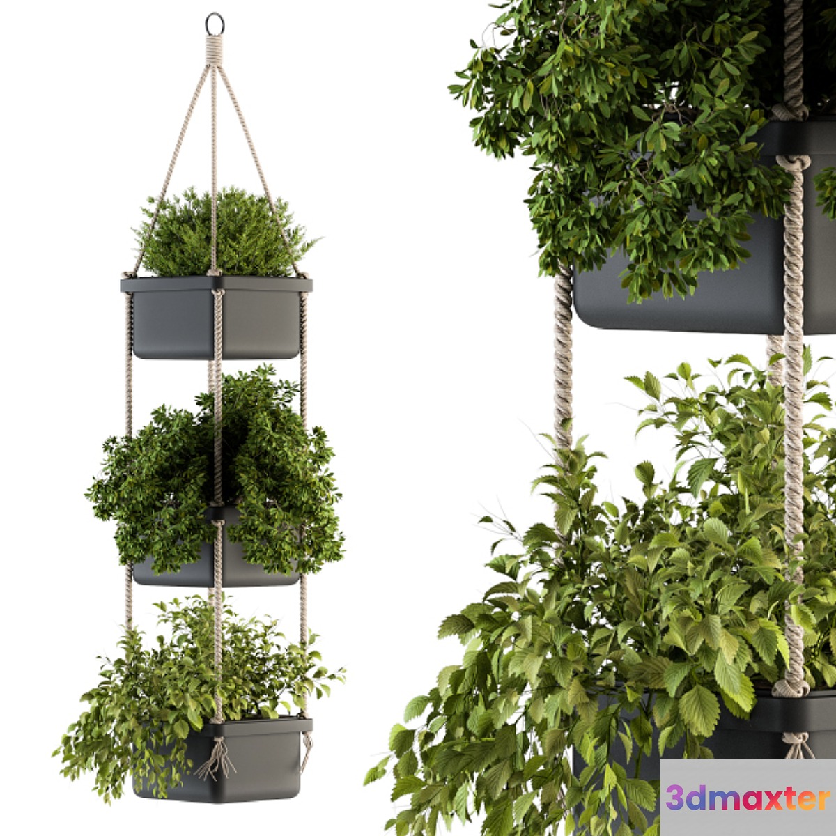 Hanging pot with Rope - indoor Plants 164 - No.3