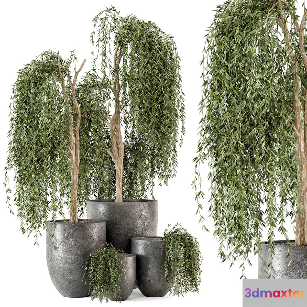 Outdoor Plants bush and Tree in rusty Dark Concrete Pot - Set 52 3D Max