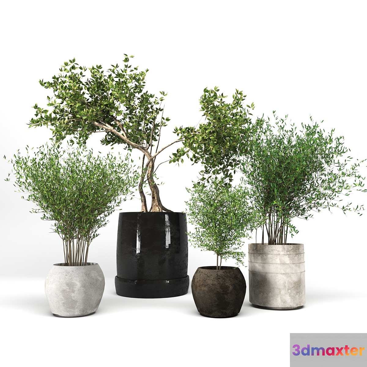 Plant collection09 3D Max