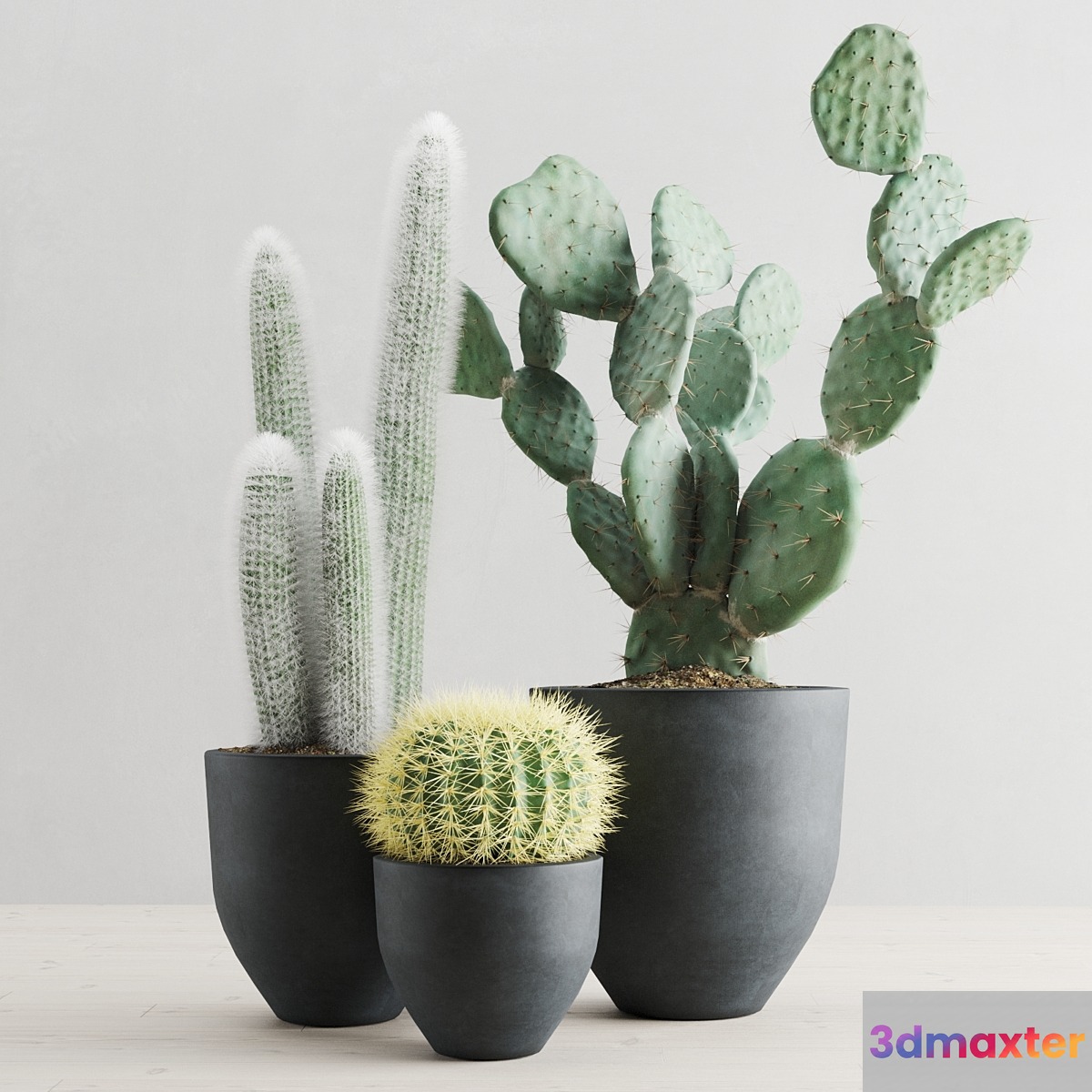 Cacti in concrete pots 3D Max