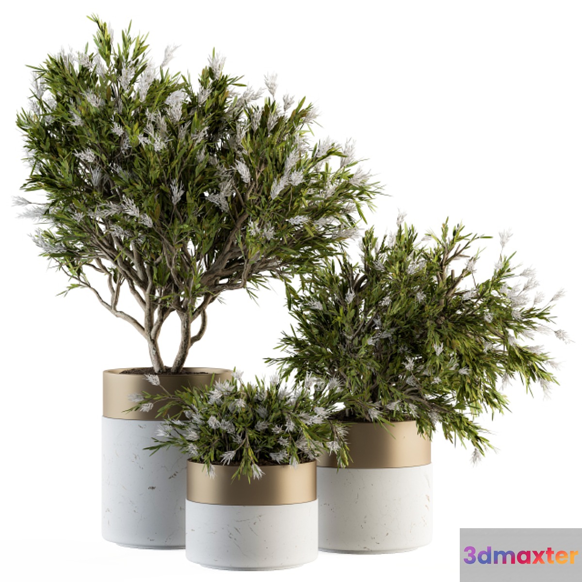 indoor Plant Set 181 - Flower Tree 3D Max
