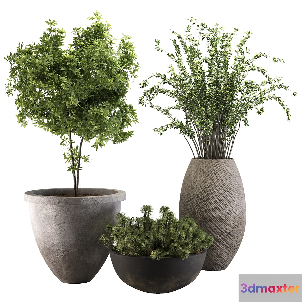 out door plant 13 3D Max