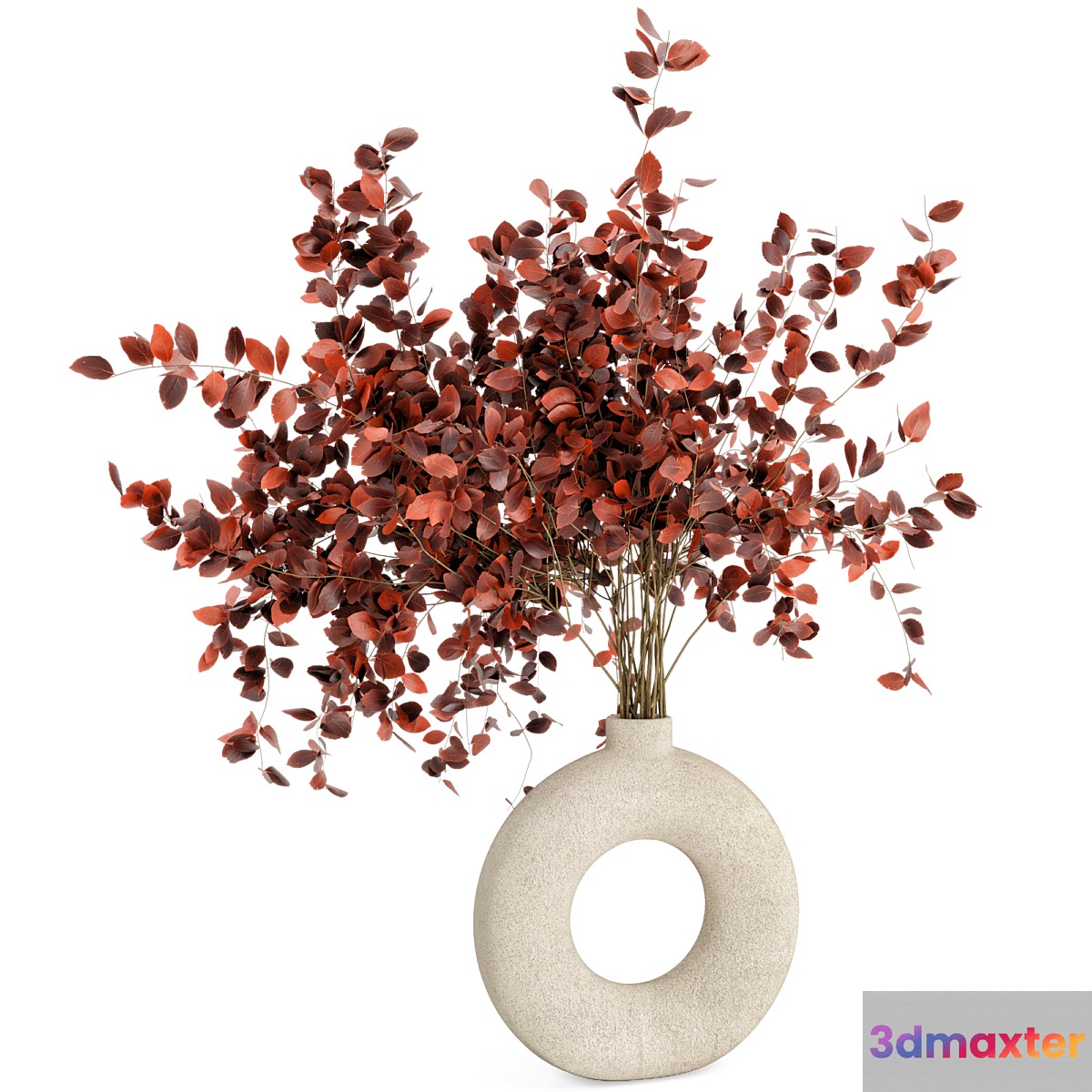 Indoor Plants in Concrete Pots - Set 66