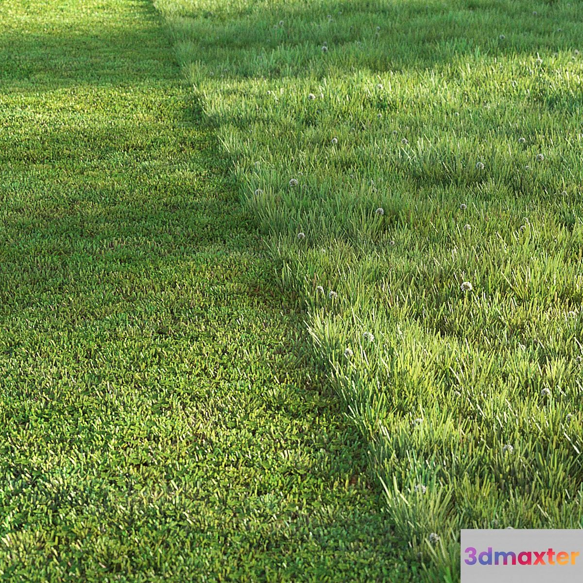 Sports turf - No.2 3D Max