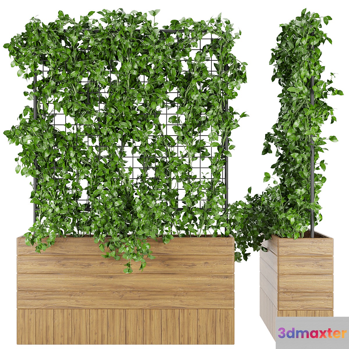 Collection plant vol 102 3D Max