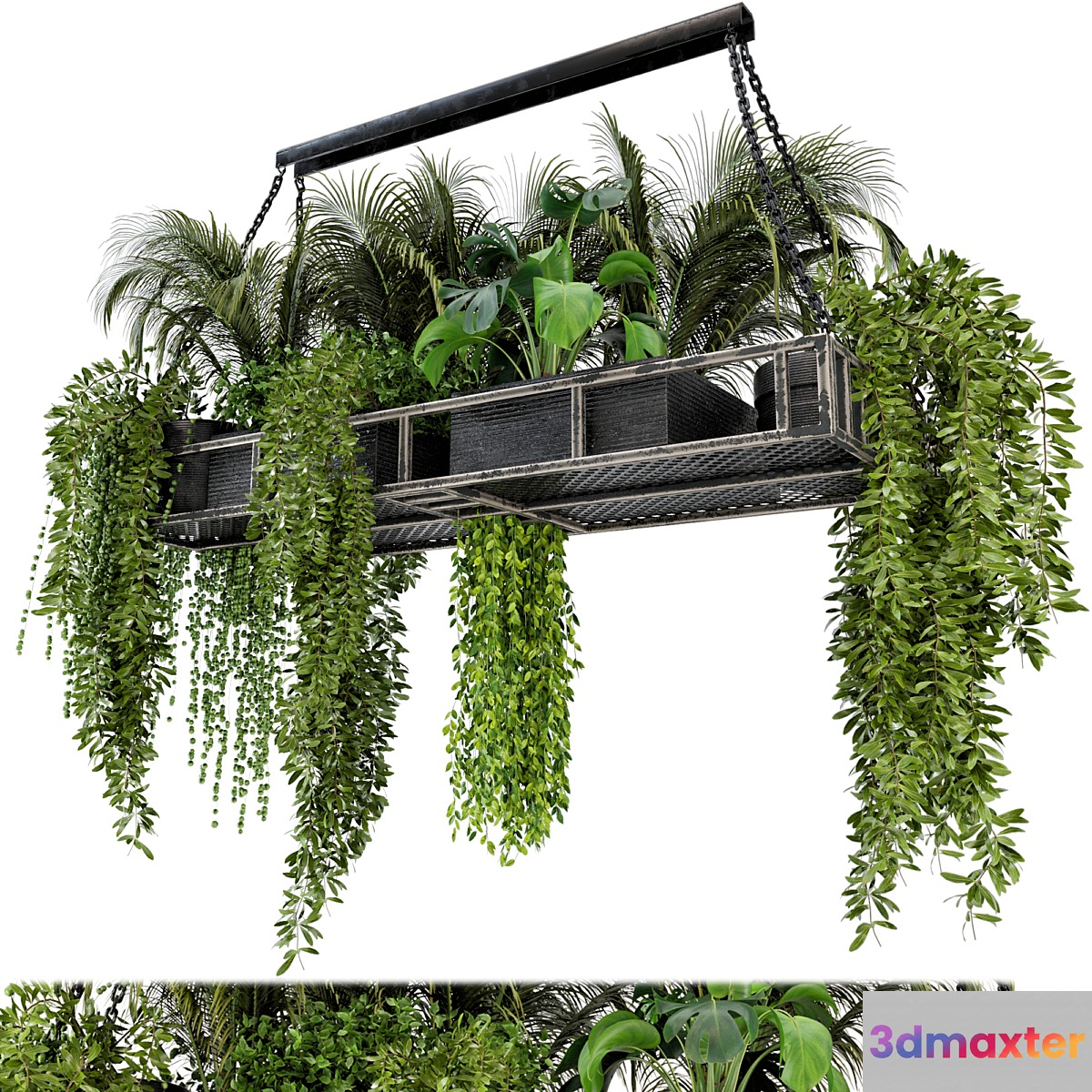 Indoor Hanging Plants in Metal Box - Set 71 - No.2