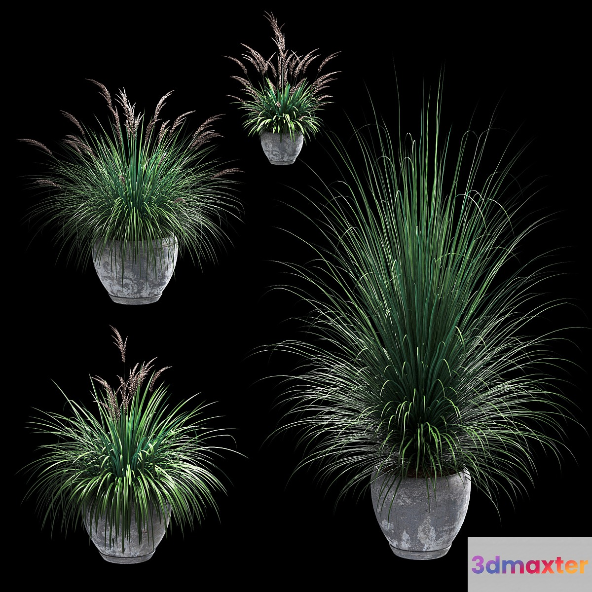 Outdoor potted plants. 4 models