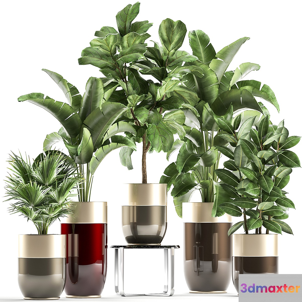 Collection of plants in gold pots Godwin Longhi luxury with Banana palm ficus luxury decor. Set 858. 3D Max