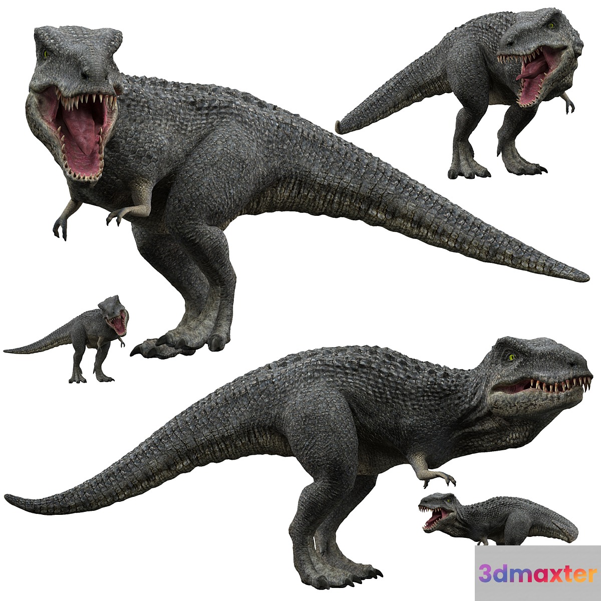 Tyrannosaurus rex