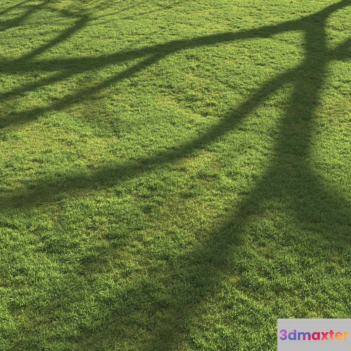Flat grass 3D Max