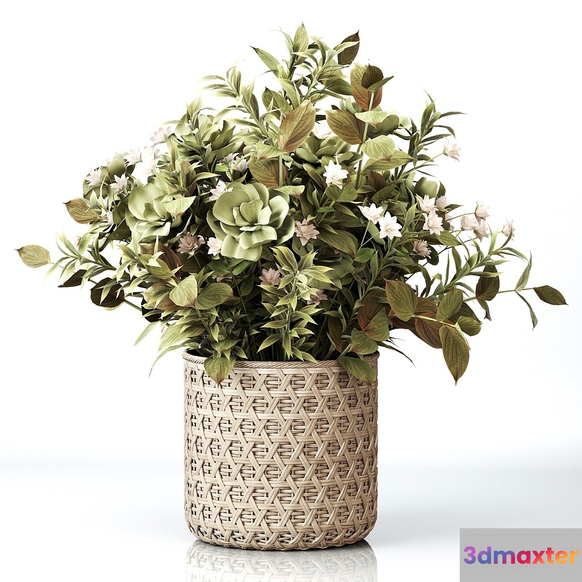 Plants Bouquet 01