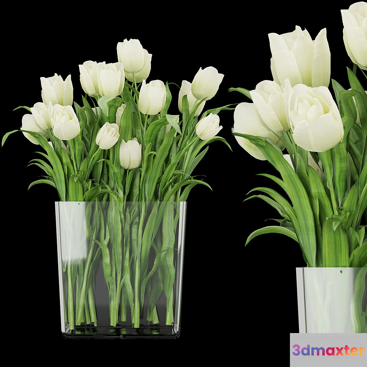 Collection plant vol 119 3D Max