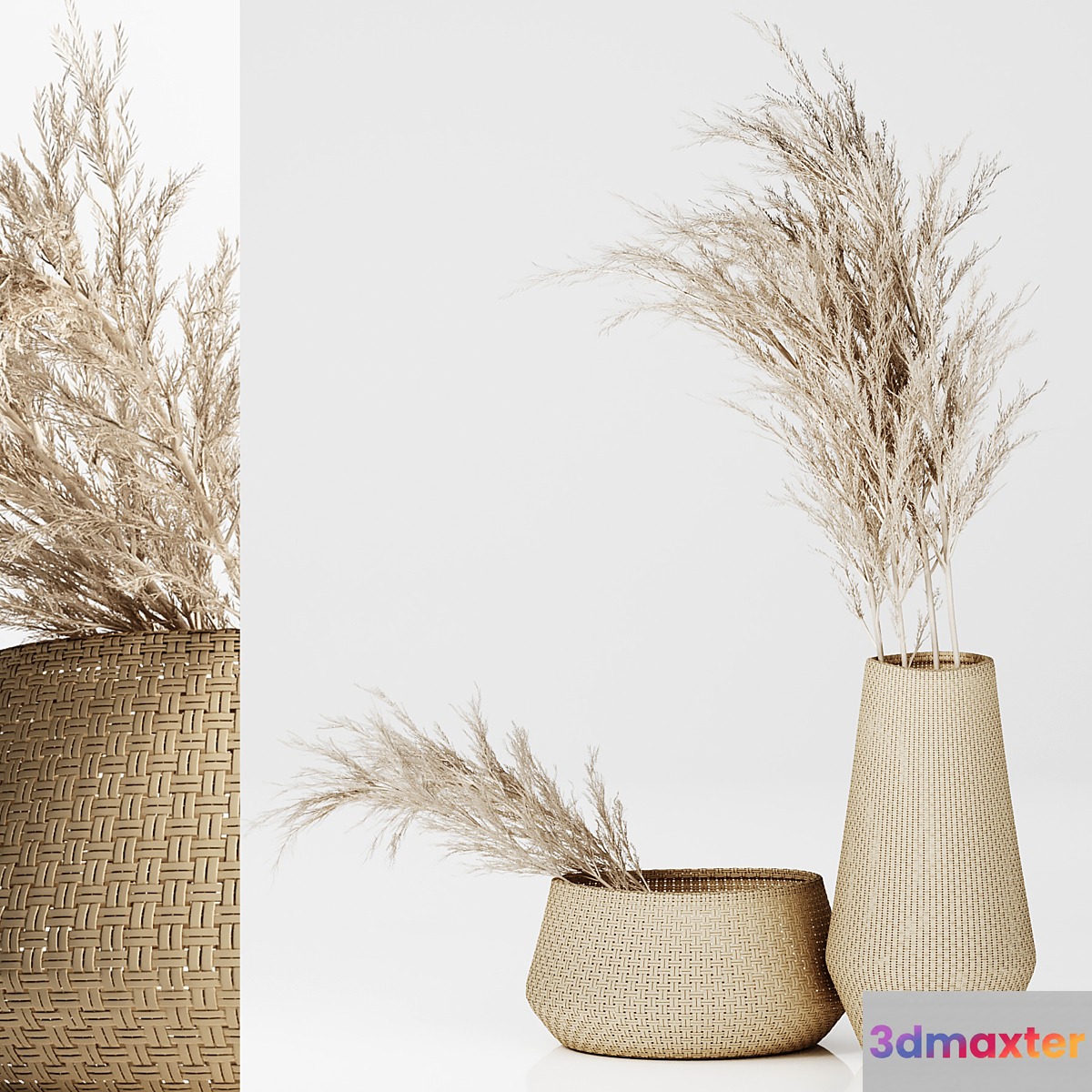 Dried Plants in Straw Baskets