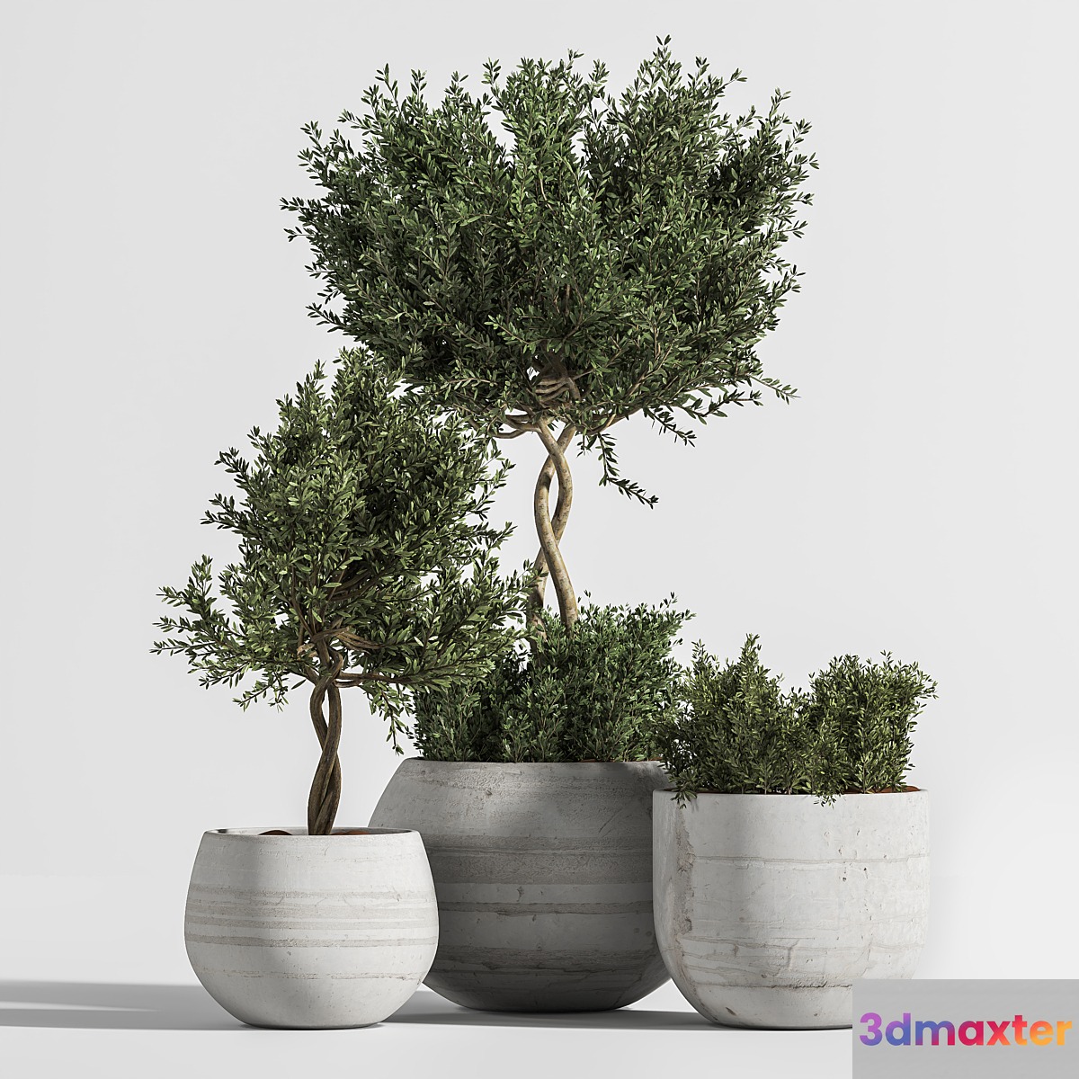 Plant Indoor with Concrete Leaf 3D Max